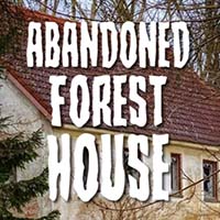 Abandoned Forest House